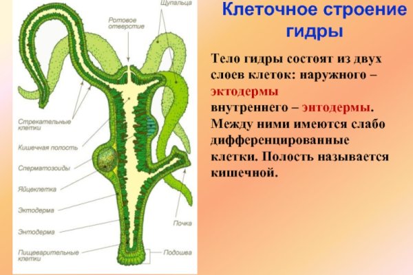 Кракен даркнет тор