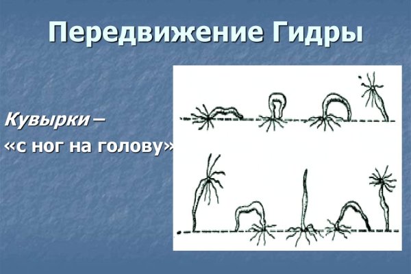 Kraken сайт даркнет