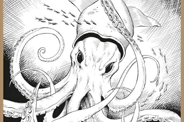 Kraken zerkalo официальный сайт