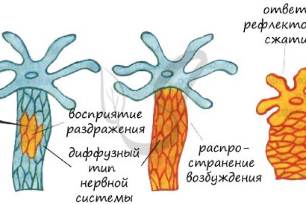 Кракен 2024 сайт